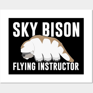 Sky Bison Flying Instructor Posters and Art